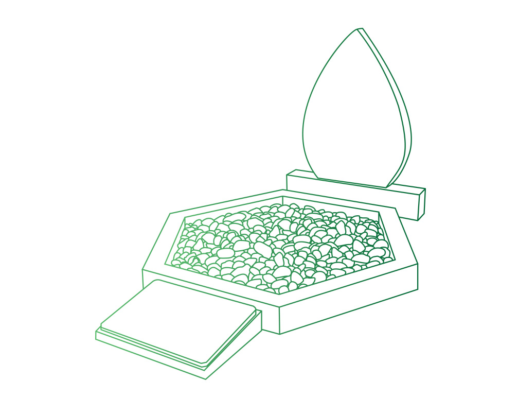 Peut-on Mettre Des Fleurs Au Jardin Du Souvenir